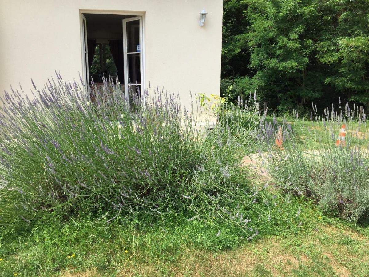 Le Clos Du Golf Dame-Marie-les-Bois Exterior photo